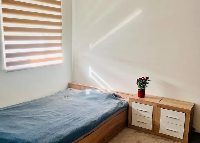 Apartment Two-storey Close To Downtown