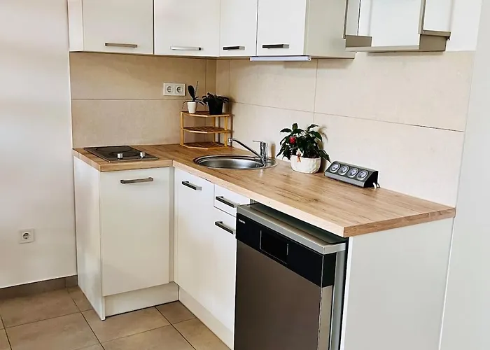 Apartment Two-storey Close To Downtown *